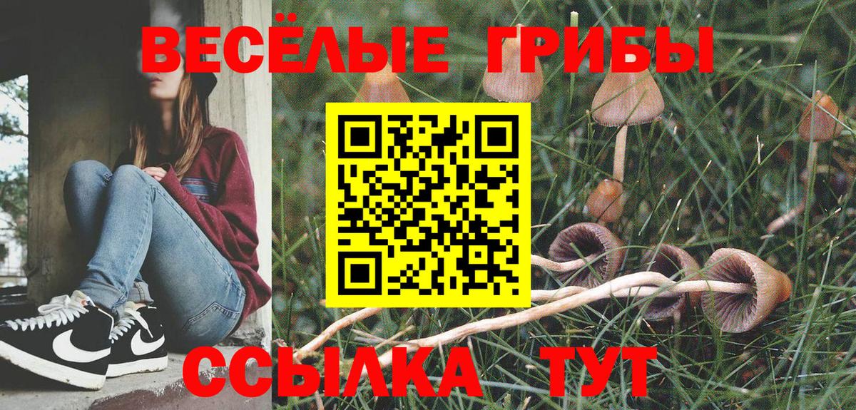 Малоярославец  Псилоцибиновые грибы Magic Shrooms  Вход с VPN 