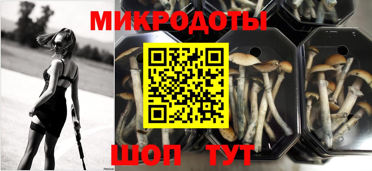 Галлюциногенные грибы Psilocybine cubensis Малоярославец